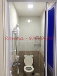The Sunny Spring (D14), Apartment #97521262